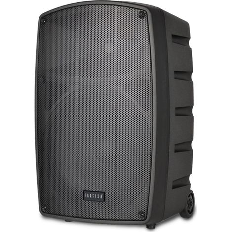 Enceinte sans Fil sur Chariot 100 W avec 2 Microphones sans Fil (1/5)