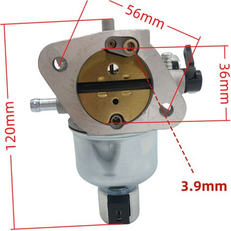 Le carburateur convient aux moteurs FR691V et FS691V avec des rapports carburant haute précision (15004-0829, 15004-0985, 202-005).