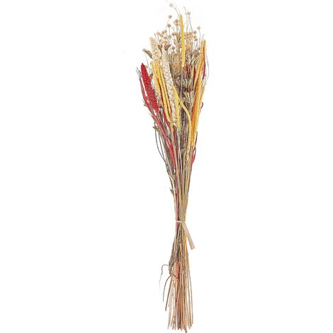 Trockenblumenstrauß PAMPELUNA 65 cm Naturfarben (1/5)
