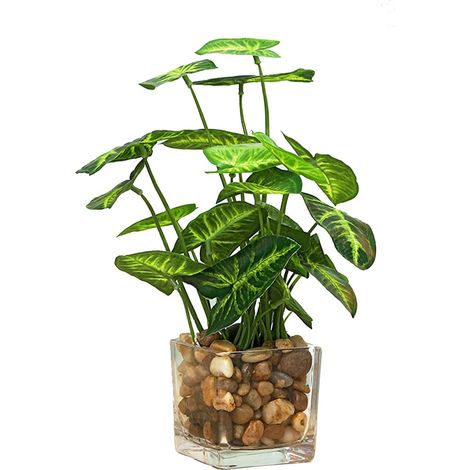 1 Plante artificielle, Trèfle, Pot en verre, Pierre décorative, Intérieur et bureau (1/5)
