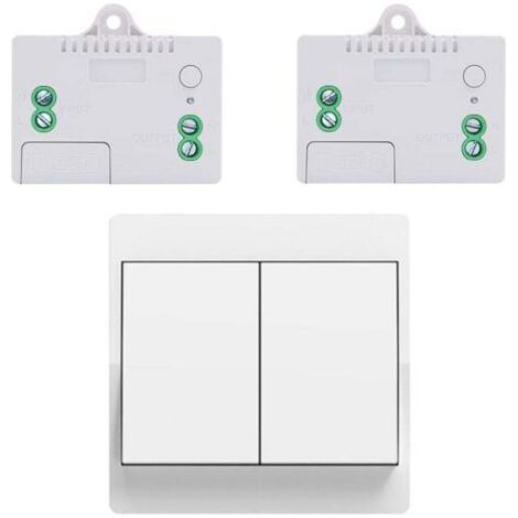 BUNTHAUS EU-Funkschalter-Set, batterielos, selbstversorgender drahtloser Zweiwegeschalter, drahtloser Funkfernbedienungsschalter für die Heimbeleuchtung (EU 2-fach 1V2A)