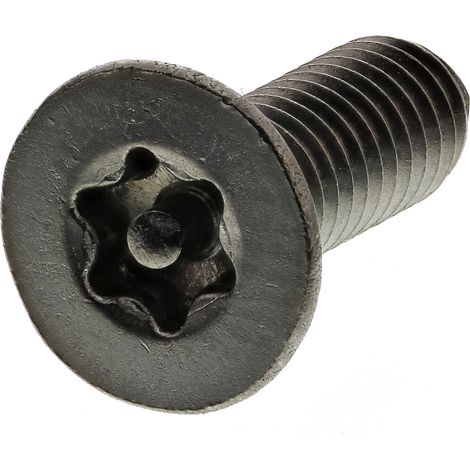 Vis de sécurité inviolable, M4 x 12mm, tête plate, en Acier Inoxydable A2 304 ( Prix pour Sachet de 100 ) (1/2)