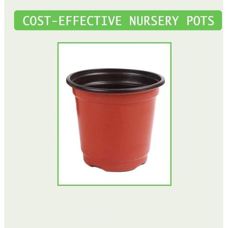 Set di 40 vasi da fiori in plastica da 10,2 cm per piantine di piante grasse, talee e trapianti. (1/4)