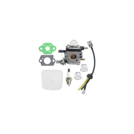 Carburateur C1U K54A pour motoculteur Mantis 7222 7222E 722M 7225 7230 7234 7240 7920 7924..DEBUNS (1/4)
