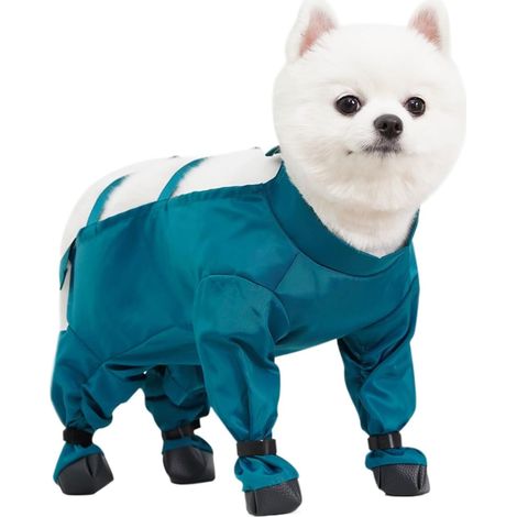 de neige pour chien avec bottes protection des pattes r (1/5)