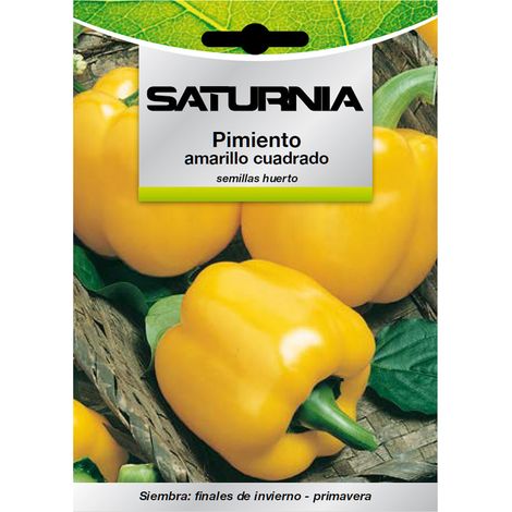 Graines de poivron jaune carré (capsicum annuum) (1,5 gramme) (1/2)