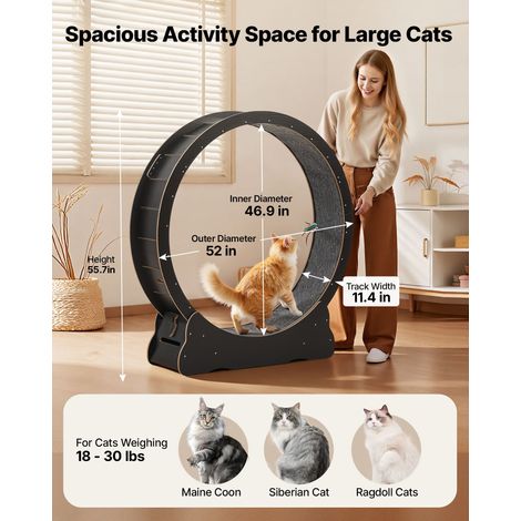 Roue pour Chat 132 cm Roue d'Exercice pour Chat 8,2-13,6 kg Tapis Roulant pour Chats Intérieur pour Course Marche Entraînement, ave… (1/5)