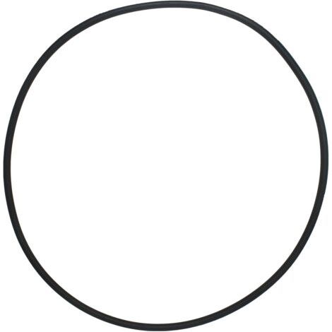 Collier de Serrage et Joint d’Étanchéité Pentair 39010200 – pour Filtres CCP 520/420/320 (1/4)