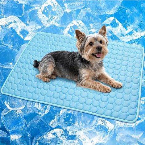 Selbstkühlende Hundematte, waschbare Haustiermatte aus Eisseide für Katzen, Hunde, Zwinger und Käfige (50x40cm, Blau) (1/5)