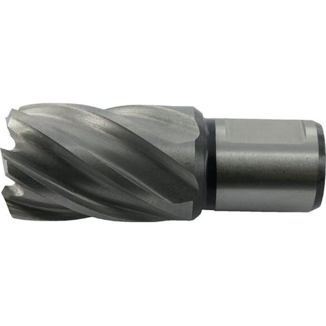 Caroteur 20x55mm HIKOKI 754509