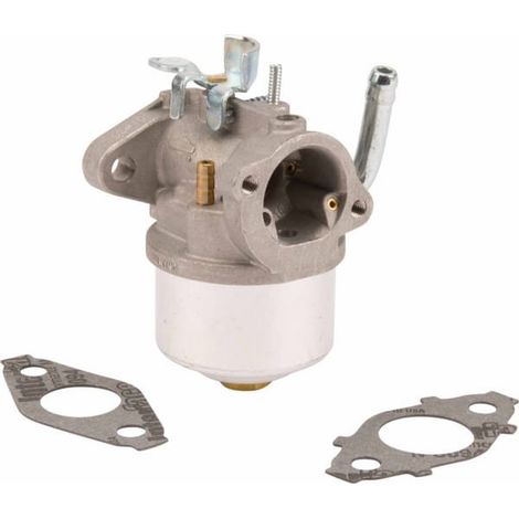Carburateur BRIGGS ET STRATTON 594015WM (1/2)