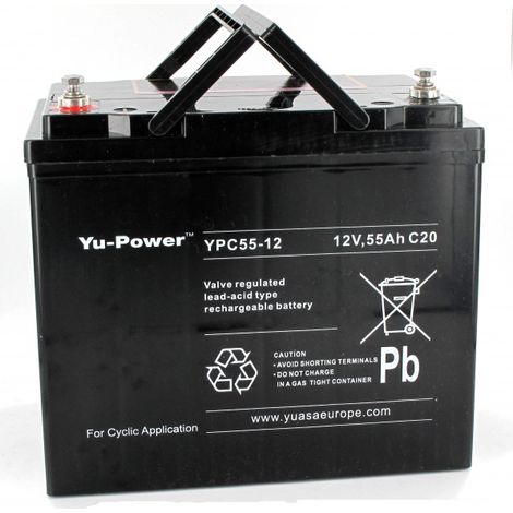 BATERÍA DE PLOMO 12V 55AH YUCEL YPC55-12 YUASA (1/4)