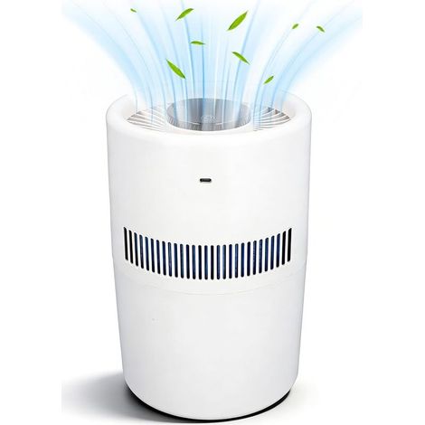 2-in-1 Luftbefeuchter mit Luftreiniger, 4 l, 5 W, ohne Wassertank, Nebelfunktion, Verdunstungsfunktion, ideal für Schlafzimmer und Büro (1/5)