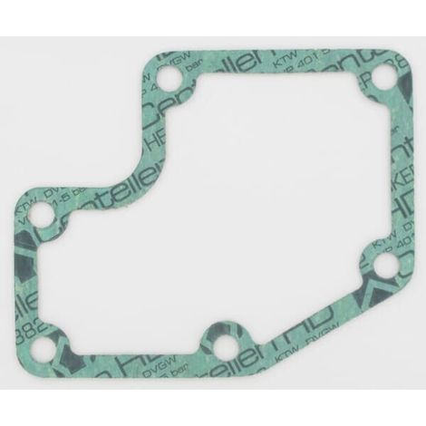 Guarnizione pompa acqua FENDT F139207210051
