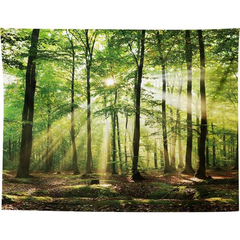 Tapisserie murale extra large - Forêt brumeuse - Tapisserie murale naturelle - Forêt ensoleillée - Pour la maison, le bureau, le dortoir, la décoration intérieure et extérieure - 150 x 200 (1/5)