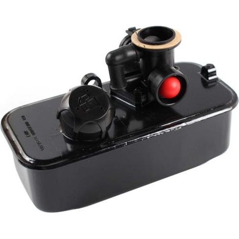 Carburateur Briggs & Stratton 498809 494406 498809A 795477 réservoir de carburant tondeuse à gazon tracteur (1/4)