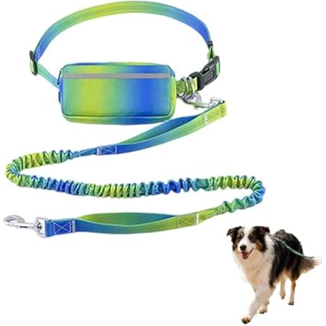 Laisse réglable mains libres pour chien avec pochette de ceinture, élastique réfléchissant pour jogging, cyclisme, entranement, nylon et polyester, rose, bleu, rouge, vert, extension de 120 à 180 cm (1/5)