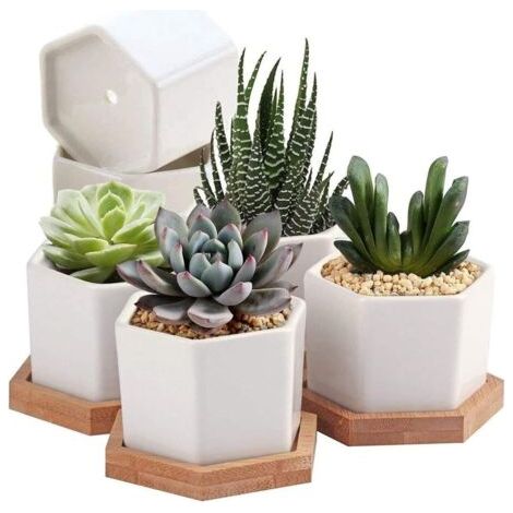 Pots pour plantes succulentes, pots pour cactus, petits pots de fleurs, mini pots de fleurs