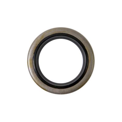 Joint spi 391086, 391086s, 298423 - moteur de tondeuse briggs & stratton
