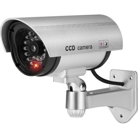Filiyano-Caméra rotative à 180° avec détecteur de faux mouvement et LED pour la vidéosurveillance - Argent (1/5)