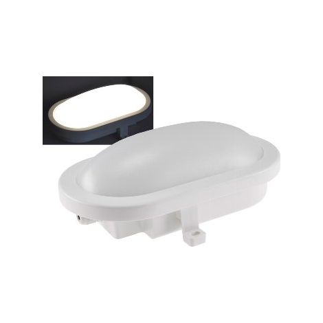 LED Oval-Armatur IP44 12W 1000lm für Keller (1/5)