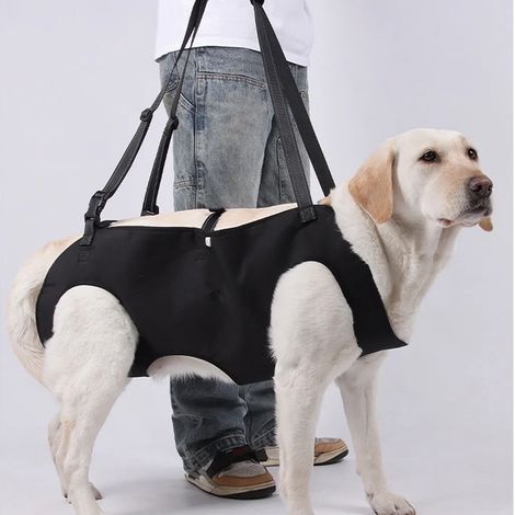 Trasportino per cani taglia XL – Cinghia di sollevamento in rete traspirante, adatto a cani con artrite, dolori articolari e problemi di mobilità – Nero (1/3)