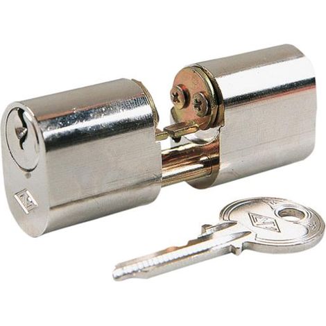 Cylindre Cvl 5968/30x30/ln Ovale Leves avec Tiges (1/2)