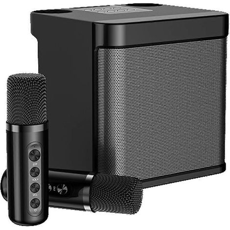 Enceinte Bluetooth avec 2 Microphones pour Fêtes Intérieur et Extérieur (1/4)