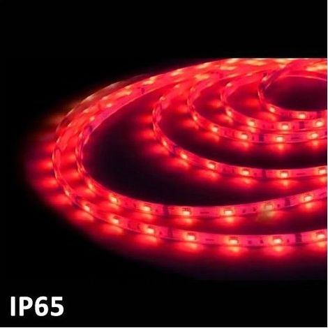 Ruban LED 5m ROUGE SMD5050 7.2W / m IP65 24V GSC 1504595
