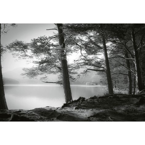 Papier peint panoramique paysage noir & blanc | Tapisserie panoramique nature pour chambre | Papier peint panoramique forêt & lac idéal salon - 384 X 260 cm (8 pièces) (1/2)