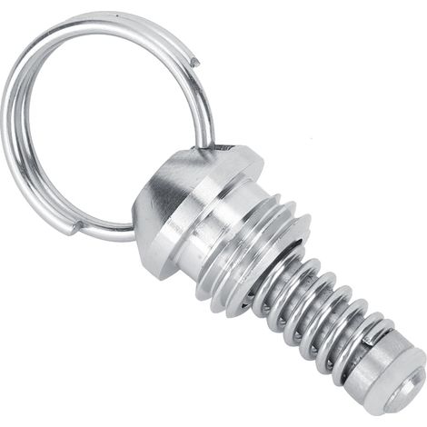 2 Pièces Soupape de Sécurité Réparation Fût Bière Acier Inoxydable Valve Pression Robinet Accessoires Brassage (1/4)