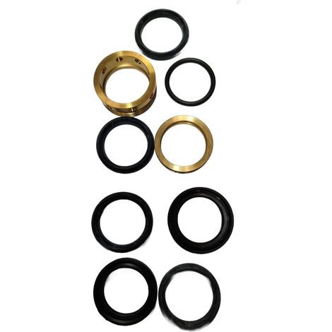 Kit Reparacion Piston Cpto compatible con Tf100  Ref 448903
