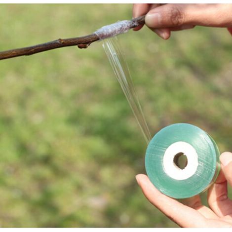 Ruban de greffage extensible et auto-adhésif de 2 cm x 100 m pour arbres de jardin (voir photo). (1/5)