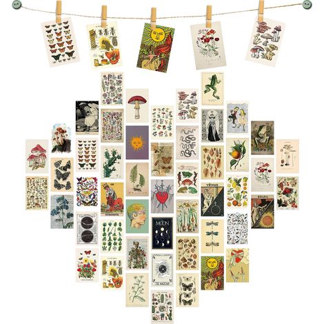 Kit Collage Murale Botanique - 50 Affiches Miniatures Vintage - Décoration Murale pour Chambre Dortoir Bureau - 50 Pièces (1/5)