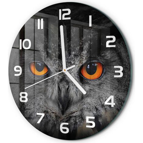Horloge Murale Ronde Salon Cuisine Bureau Verre Trempé Sans Tic-Tac Moderne Hibou fi 30 cm (1/5)