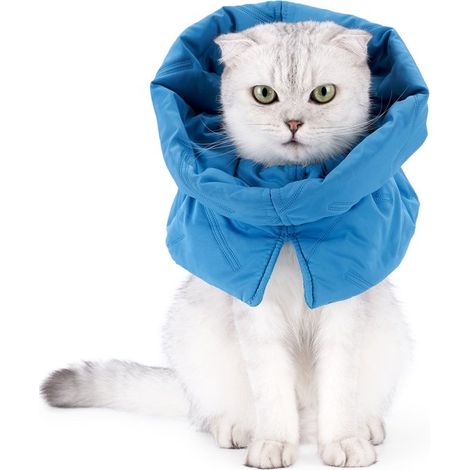 Collar para el cuidado de heridas en gatos - Evita que los gatos se laman las heridas - Azul - Estilo A - Talla S (1/5)