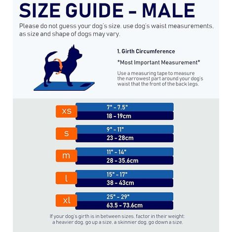 Abdominal Bands for Dogs, Diapers for Male Dogs, Dog Underwear for Male Dogs Puppy (Animals, XL) (1/4)