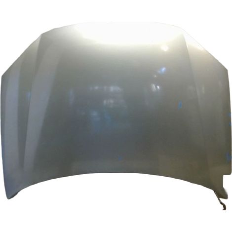 Capot VOLKSWAGEN Golf [PRODUIT D'OCCASION]♻️1k0823031j