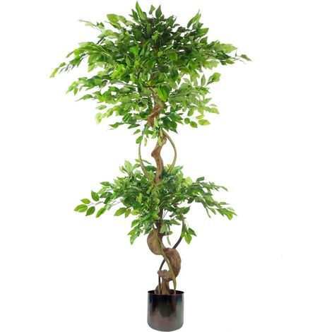 150cm Twisted Trunk Artificial Japanese Fruticosa Ficus Tree Rainbow Planter (1/5)
