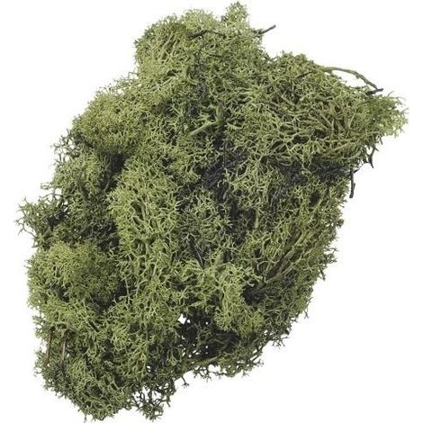 Dekoratives grünes Moos 50 g