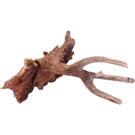 M Driftwood Flußwurzel Nr.4846 Holz Deko Aquascaping