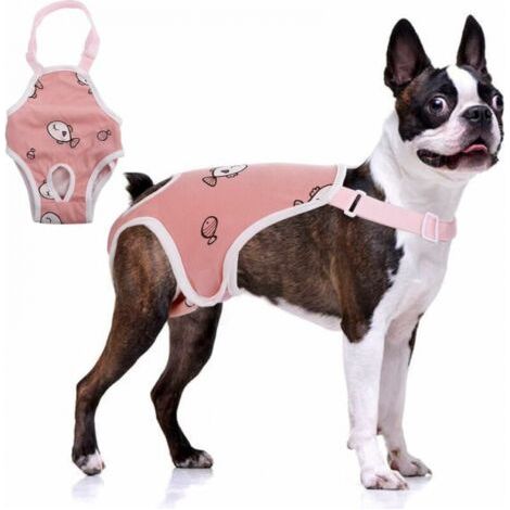Culotte femme avec suspension, culotte physiologique pour animaux de compagnie, sous-vêtements femme confortables et ajustables, slip en coton respirant pour chiens en peluche (1/4)
