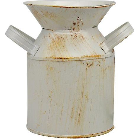 Conteneur de rangement en fer pour fleurs (1/3)