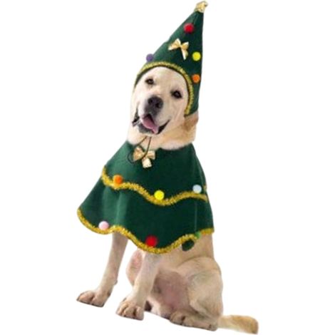 Costume de sapin de Noël pour chien avec chapeau assorti en tissu doux pour les fêtes de fin d'année et les photos de vacances pour chien (1/5)
