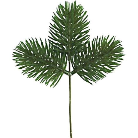 ARPIMEX Rametto Natale Pino 20 Cm Verde
