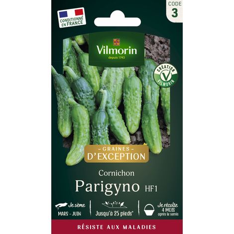 Cornichon Parigyno HF1 - Graines d'Exception Vilmorin (1/3)