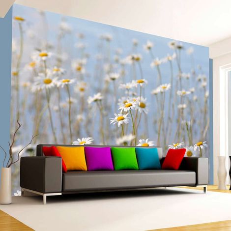 Papier peint pâquerettes - 250 x 193 cm (1/4)