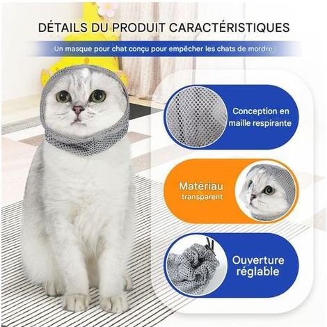 Coiffe anti-léchage pour chat