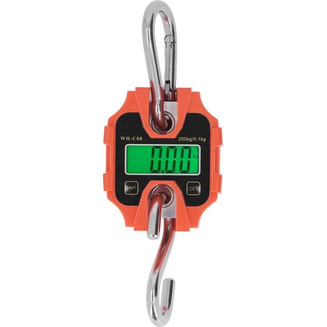 Mini balance numérique pour grue, portée de 250 kg, portable, avec écran LCD détachable, outil de pesage industriel à suspendre (1/5)