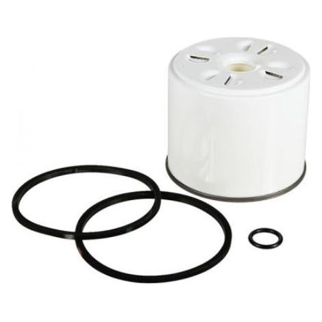 NEWGARDENSTORE Kraftstofffilter für CASE 1200 - 1210 Motoren